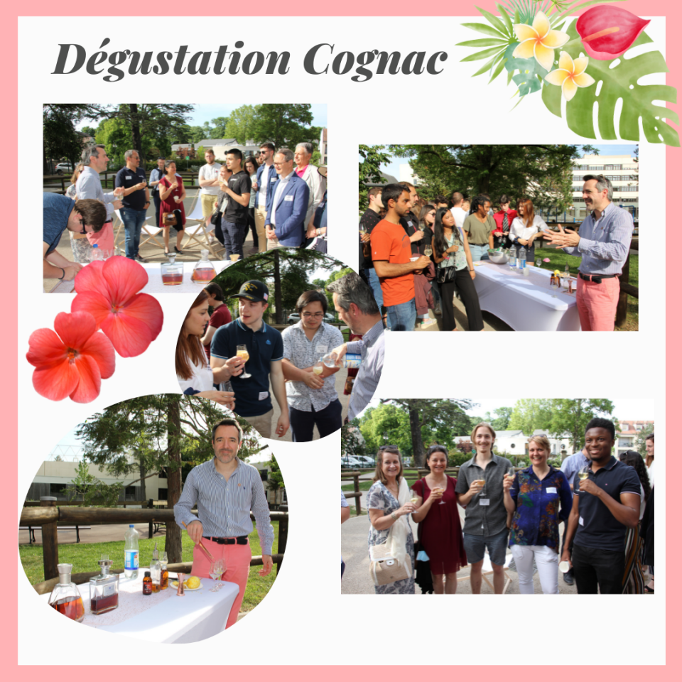 Retour en images sur la Garden Party Institution SainteMarie Alumni Votre communauté en ligne